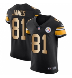 Men's Nike Pittsburgh Steelers #81 Jesse James Elite Black/Gold Team Color NFL Jersey