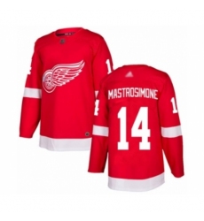 Youth Detroit Red Wings #14 Robert Mastrosimone Authentic Red Home Hockey Jersey Youth Detroit Red Wings #14 Robert Mastrosimone Authentic Red Home Hockey Jersey