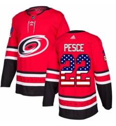 Men's Adidas Carolina Hurricanes #22 Brett Pesce Authentic Red USA Flag Fashion NHL Jersey Men's Adidas Carolina Hurricanes #22 Brett Pesce Authentic Red USA Flag Fashion NHL Jersey