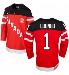 Men's Nike Team Canada #1 Roberto Luongo Premier Red 100th Anniversary Olympic Hockey Jersey Men's Nike Team Canada #1 Roberto Luongo Premier Red 100th Anniversary Olympic Hockey Jersey
