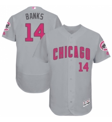 Men's Majestic Chicago Cubs #14 Ernie Banks Grey Mother's Day Flexbase Authentic Collection MLB Jersey