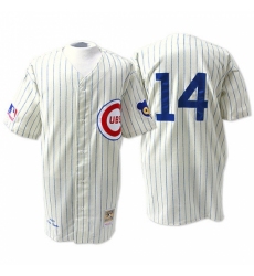 Men's Mitchell and Ness Chicago Cubs #14 Ernie Banks Authentic Cream 1969 Throwback MLB Jersey